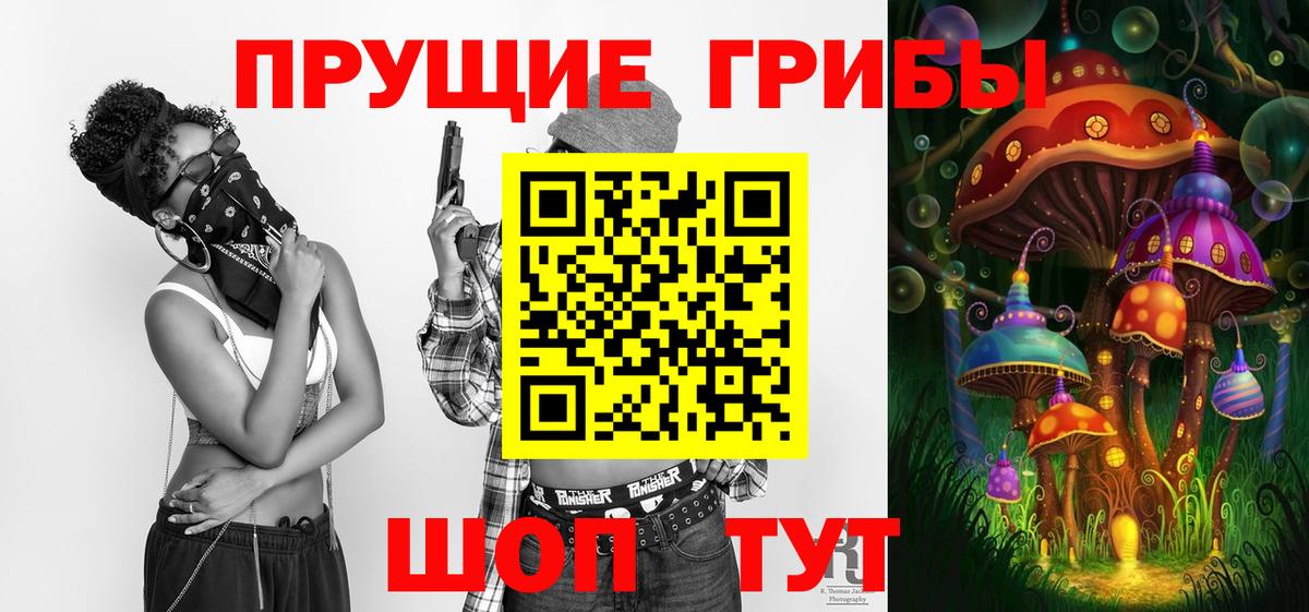 Псилоцибиновые грибы Psilocybe Минусинск